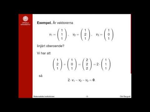 Video: I USA Förklarades Matematik Som En Rasistisk Vetenskap Om Den Vita Rasen - Alternativ Vy