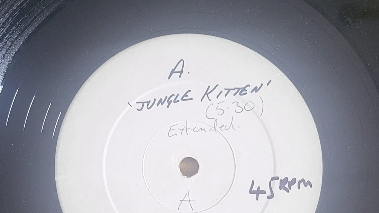 Manfredo Fest Jungle Kitten (1979) 12" Vinyl