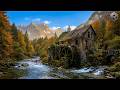 I Turned an Abandoned 19th Century Watermill Into a Modern Luxury House (ASMR)