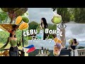 Cebu  bohol travel vlog  sirao flower garden  temple of leia  river cruise  chocolate hills 