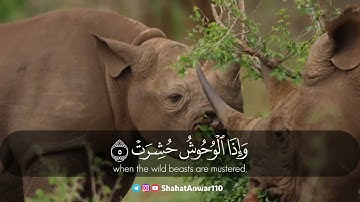 من أجمل ما قرأ الشيخ شحات أنور😍 | سورة التكوير 1-19