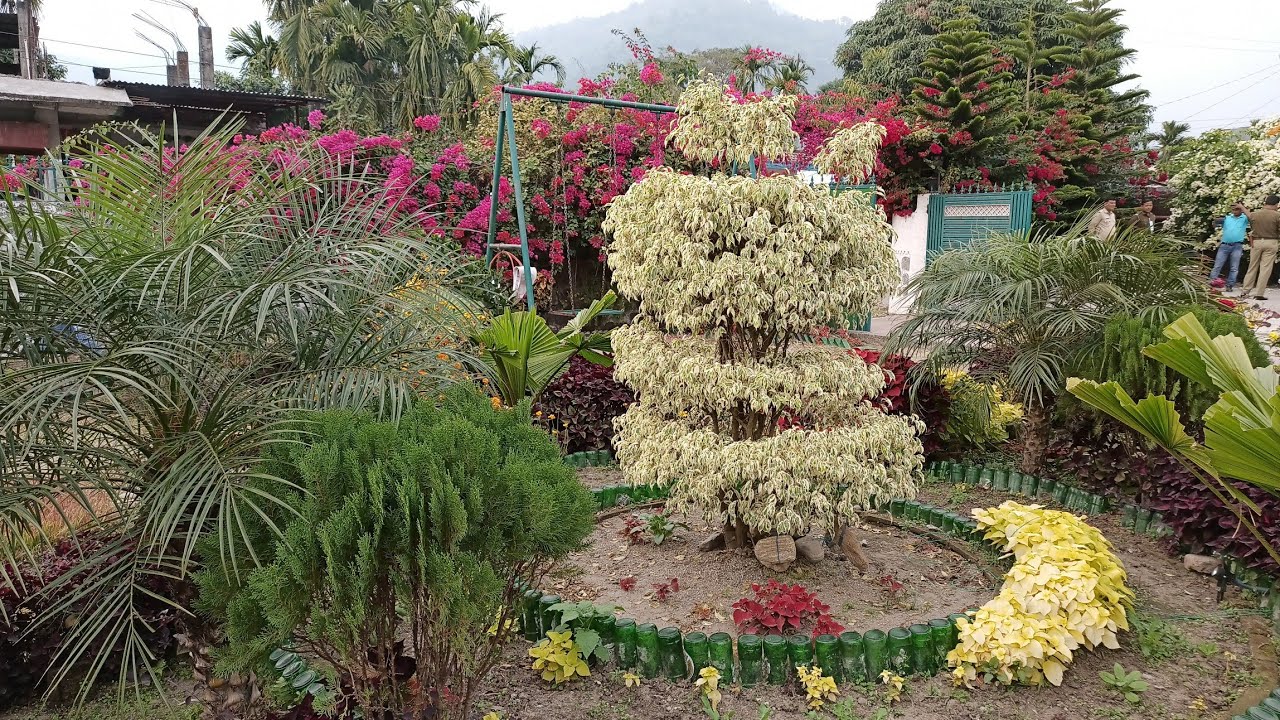 Lunch@ Chill Out Restaurant Dudhia | Exploring the Balason River Bridge |  Dudhia Local Fair