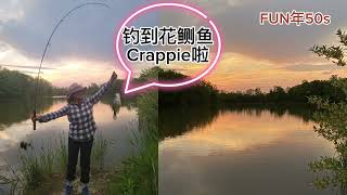 新手钓鱼（三）钓到第一条花鲗鱼啦 Caught first good size crappie | Fishing at Binbrook Conservation Area