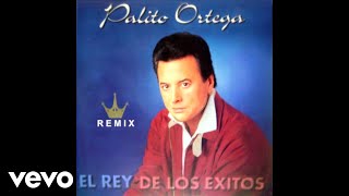 Download Lagu Palito Ortega - Camelia (Remix '97) (Official Audio) MP3