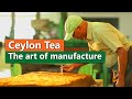 Ceylon Tea  - The art of manufacture