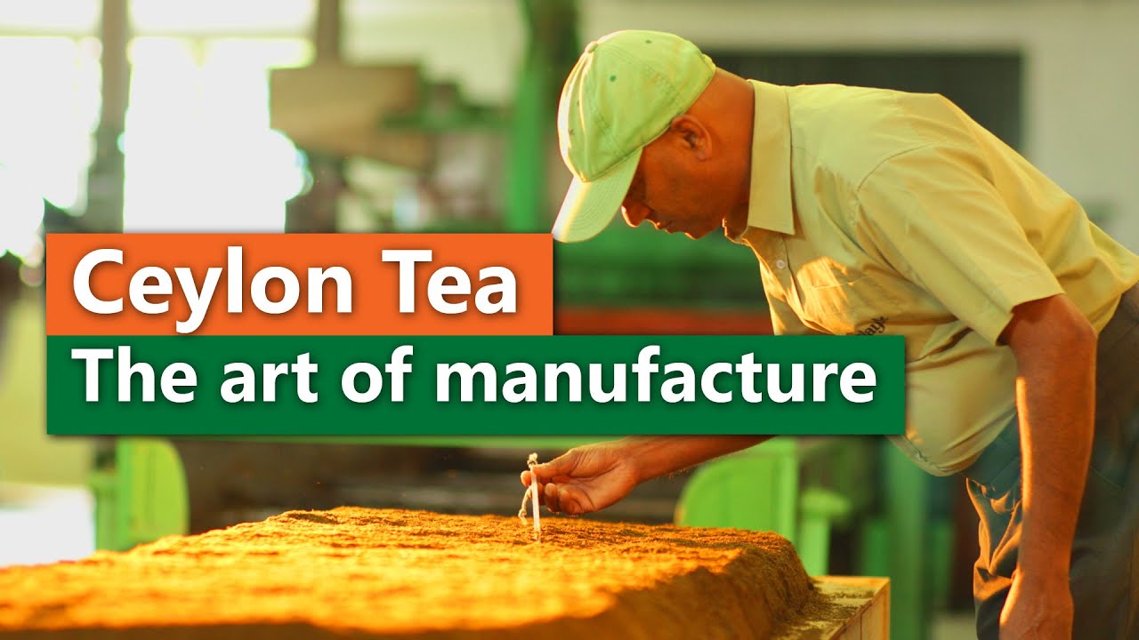 Ceylon Tea  – The art of manufacture | สรุปข้อมูลceylon tea คือล่าสุด