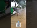 DIY Guide Unclogging a Flooded Street Drain in Minutes!