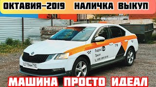 ШКОДА ОКТАВИЯ-2019год САТЫЛАТ#89256650092