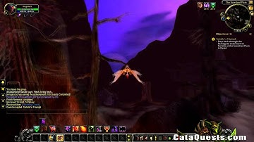 CataQuests.com - Tortolla