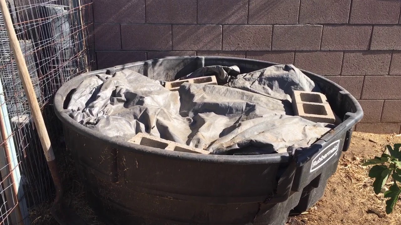 5 Ways to Recycle Waste at your Homestead