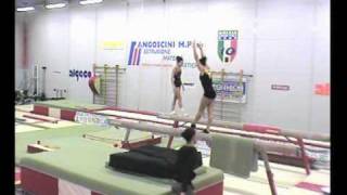 FasanaBB20111025.avi