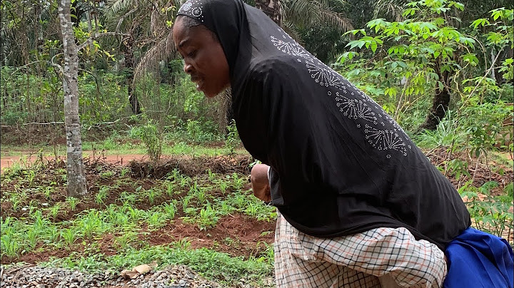 Amina was caught in an uncomplicated building with a man, Amina why