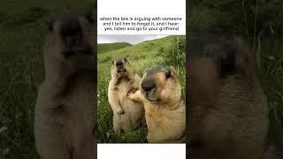 Real                                                                memes bro bleach fyp