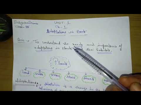 Day 1 | Adaptation in Plants | Class 4th Science - YouTube