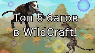 : || 5   2023   WildCraft!!! (..)||