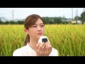 松村沙友理、自ら収穫でお米の大切さを実感「最強のお米なんですよ!」 JAグループWeb動画