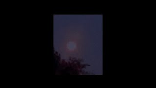 Solamentedan - Yo Te Amo A Ti Y Ya