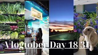 ERRANDS DONE, DINNER MADE & TIME TO UNWIND! Vlogtober Day 18/31