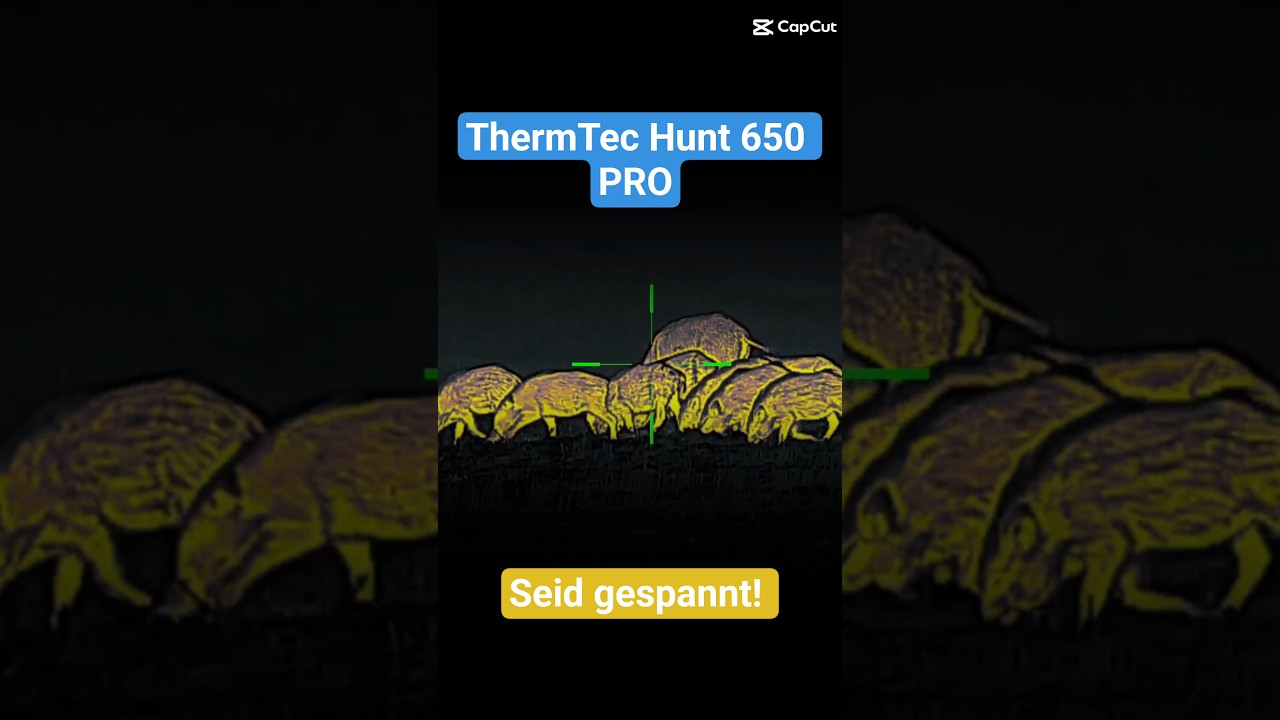 Wildboarhunt with the Hunt 650 Pro! 