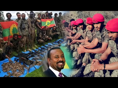 Waraana Bilisumma Oromoo Fi Waraana Mootummaa Live Irratti Khaab Butta Oduu Ammee Jawaar Muhammad