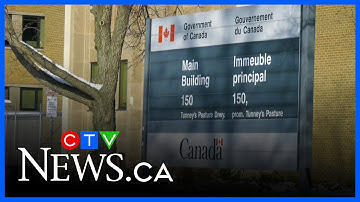 Should the federal government track productivity in the public service?