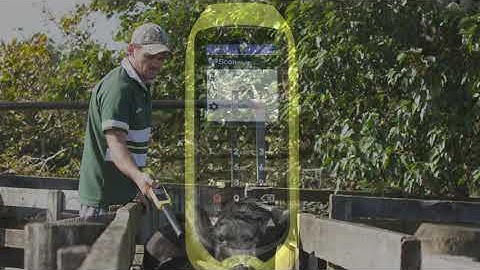 How to record animal data using an XRS2/XRS2i Stick Reader ǀ Tru-Test