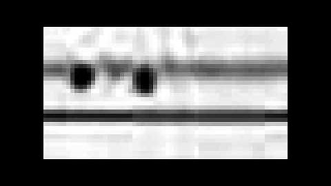 Dynamic self-assembly and control of microfluidic particle crystals S1