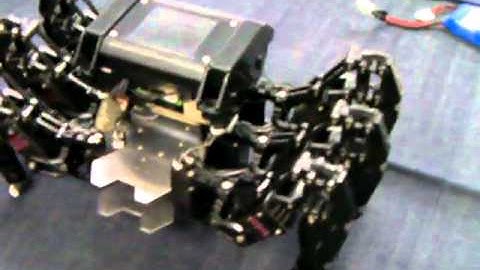 The 4th KONDO LAND, Colon