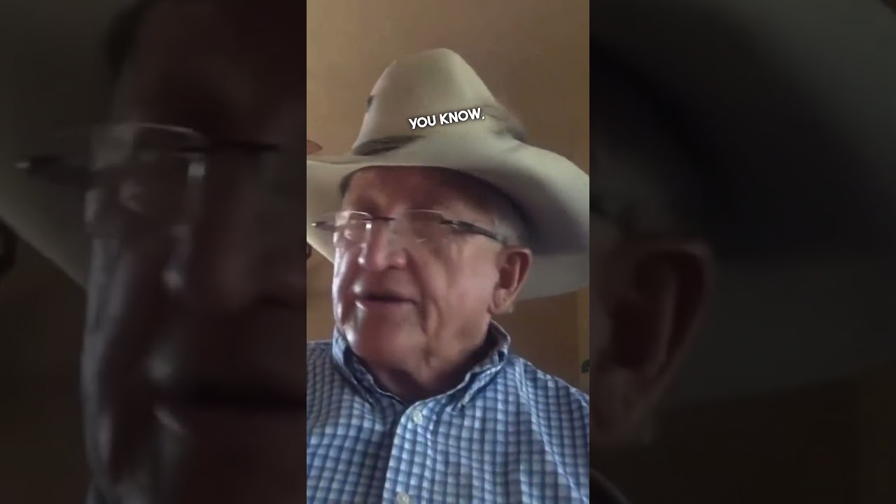 Mule training starts with groundwork.  