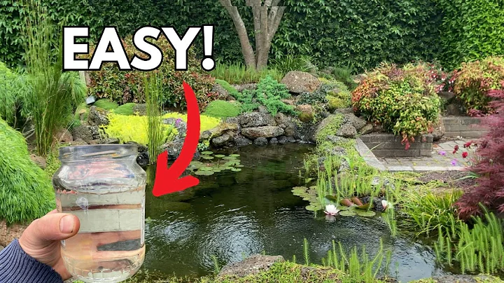 How I keep my pond water crystal clear