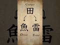 Como se entende as partes de um KANJI? 🤔 Entendendo partes e radicais de hanzi!
