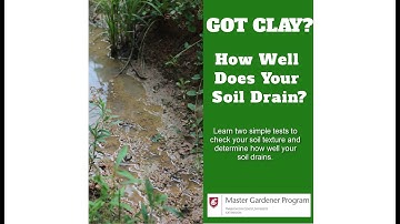 DIY Soil Texture Test and Percolation Test