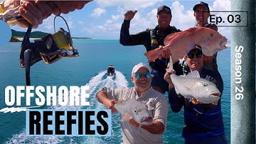 Offshore reef fish action!