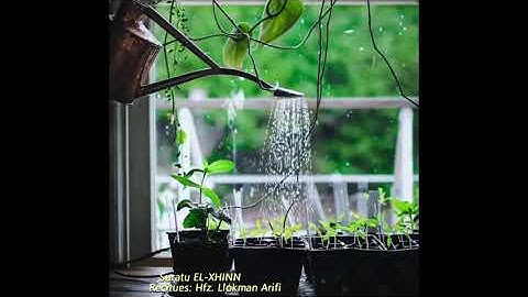 Ujite zemrën me Kur'an...Suratu: EL-XHINN  hfz. Llokman Arifi  سورة الجن للقارئ لقمان عريفي