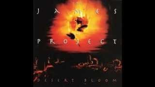 Video thumbnail of "The James Project - Take Me To The River"