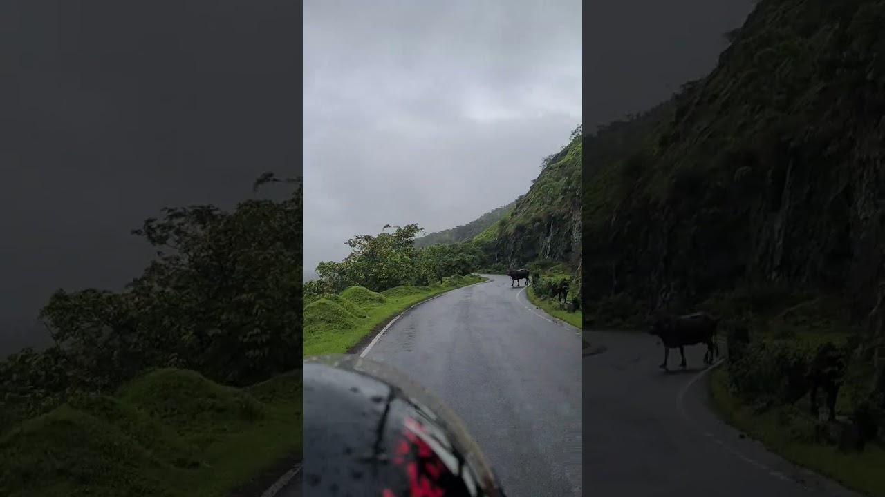 kelavali trip 2k23 22 July 2k23(1)