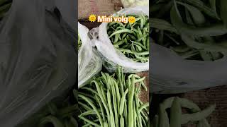 आजचा सर्वात गोड क्षण... 🤍#MiniVlog #DailyVlog #MarathiVlog
