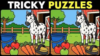 Spot the Difference: 5 Puzzles, 3 Differences Each | Keep Your Mind Sharp screenshot 5