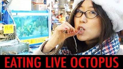 Eating Live Octopus at Noryangjin Fish Market (KWOW #136)