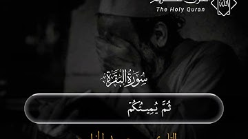 أجمل حالات واتس اب قرآن كريم بصوت القارئ سعيد الخطيب ❤️ #قرآن