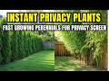 Transform Your Side Yard With These 8 Fast-Growing Privacy Screening Perennials.”