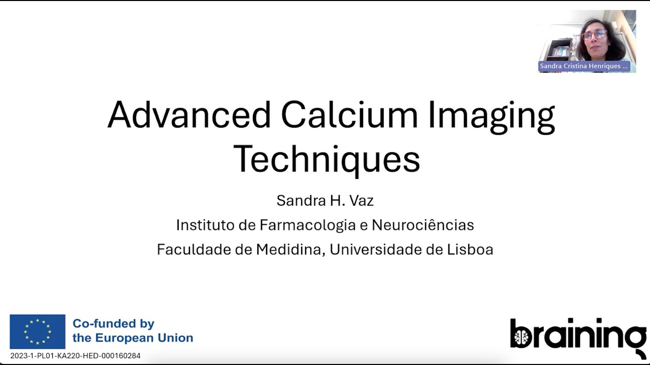 Advanced calcium imaging techniques - YouTube