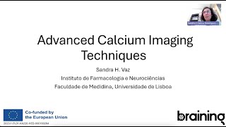 Advanced calcium imaging techniques