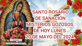 SANTO ROSARIO DE SANACIÓN MISTERIOS GOZOSOS DE HOY LUNES 20 DE MAYO DEL 2024.