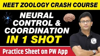 NEURAL CONTROL AND COORDINATION in One Shot - All Concepts, Tricks 