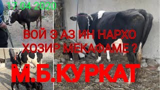 Мол бозори Куркат нархои оча б гов ? Б дастгиритон н 5058 2703 6422 4450 кар !