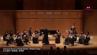 【2017大阪演出🇹🇼🇯🇵🇰🇷】烏石港的午後微風 Afternoon Breeze at Wushin Harbor 曾煒昕 作曲｜Taiwan Mandolin Ensemble