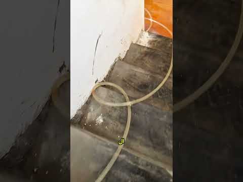 وضع أبي السمكة في الأنبوب ثم حدثت المفاجأة  