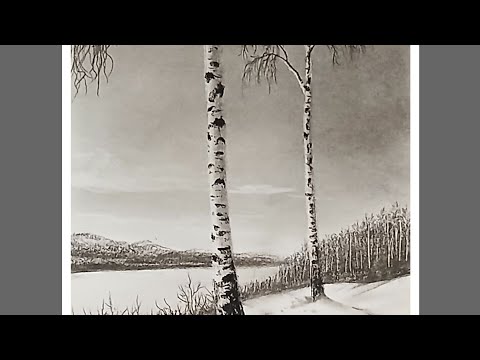 A pencil drawing of a snowy landscape featuring magnificent birch trees.