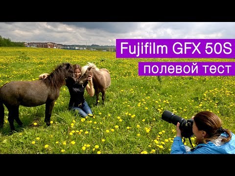 Светлана Петрова. Среднеформатная Fujifilm GFX 50S, полевые испытания на съемках лошадей